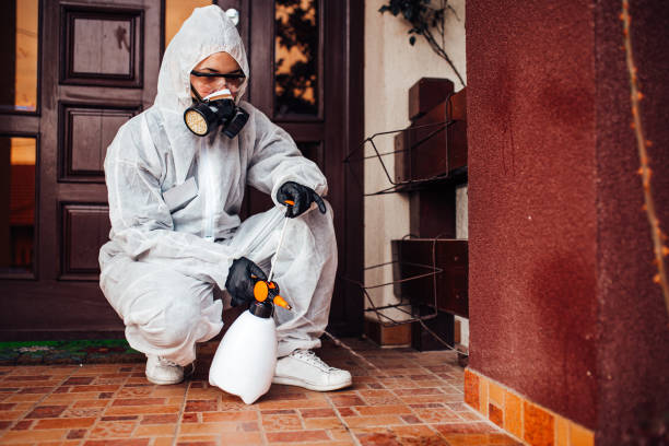 Attic and Crawl Space Rodent Treatment in Village of Four Seasons