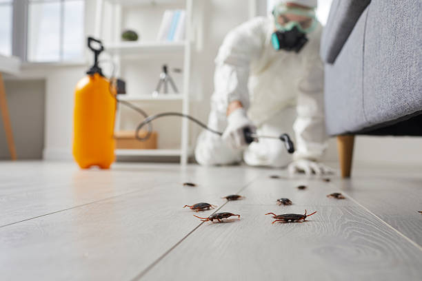 Commercial Rodent Management in Village of Four Seasons